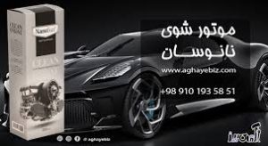 موتور شوی خودرو نانو بدون تریگر